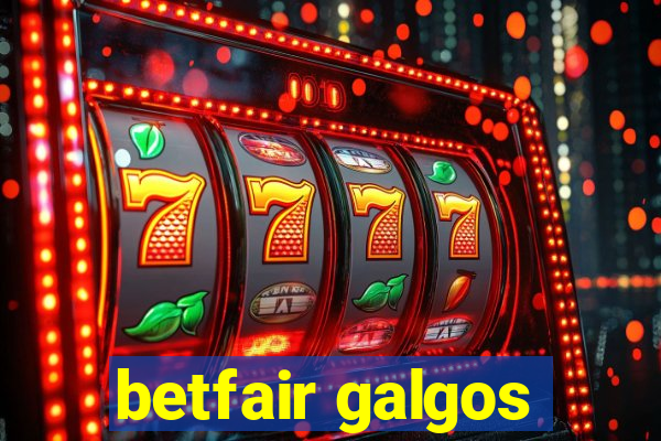 betfair galgos