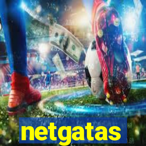 netgatas