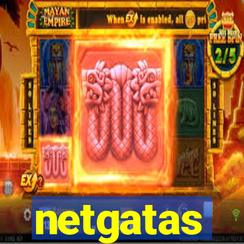 netgatas