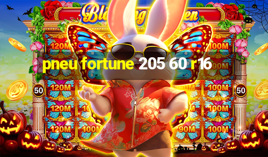 pneu fortune 205 60 r16