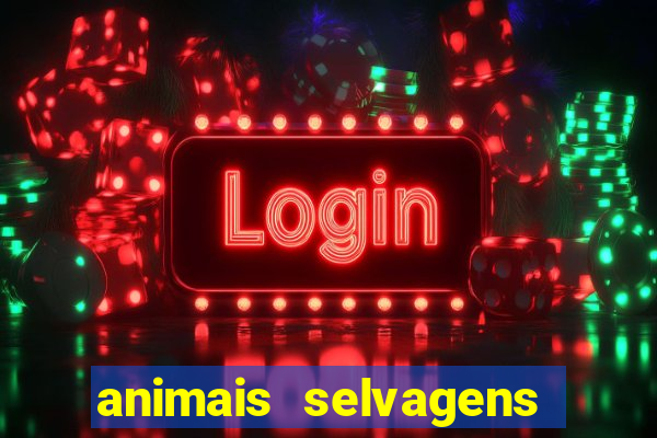 animais selvagens fotos e nomes