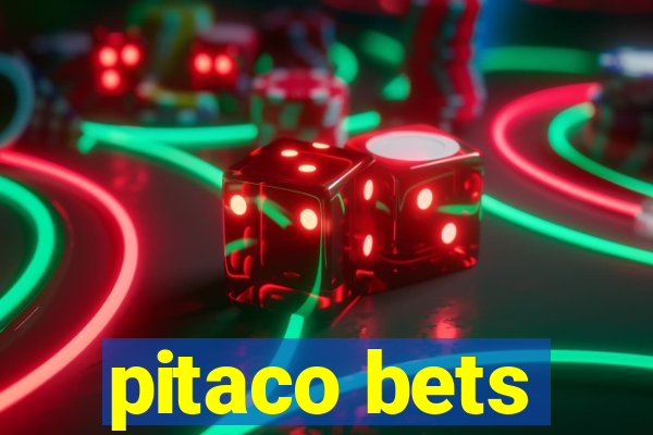 pitaco bets