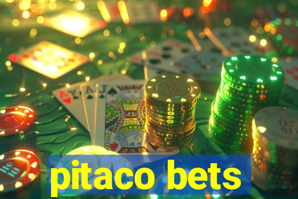 pitaco bets