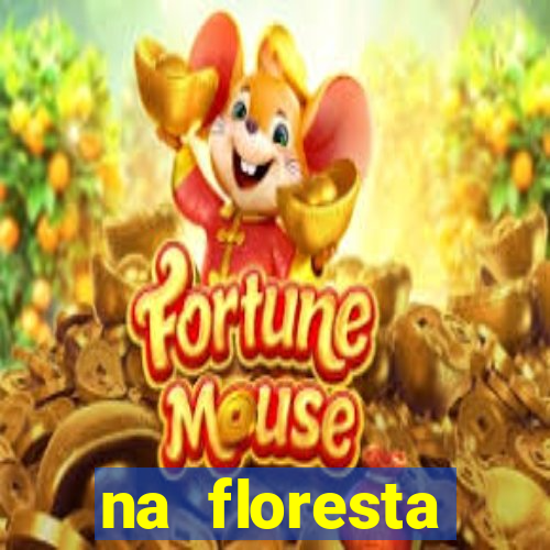 na floresta encantada meme