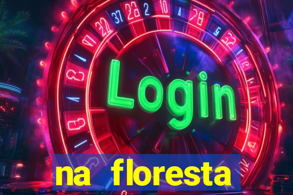 na floresta encantada meme