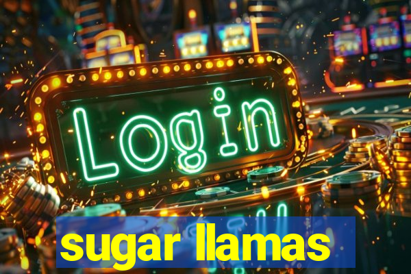 sugar llamas