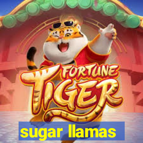 sugar llamas