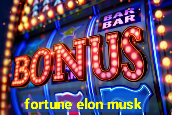 fortune elon musk