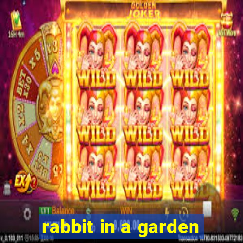 rabbit in a garden