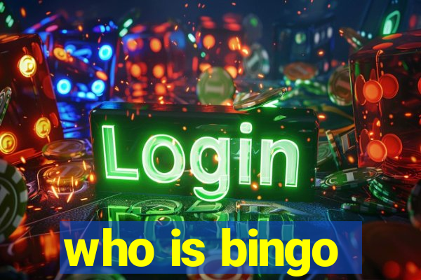 who is bingo