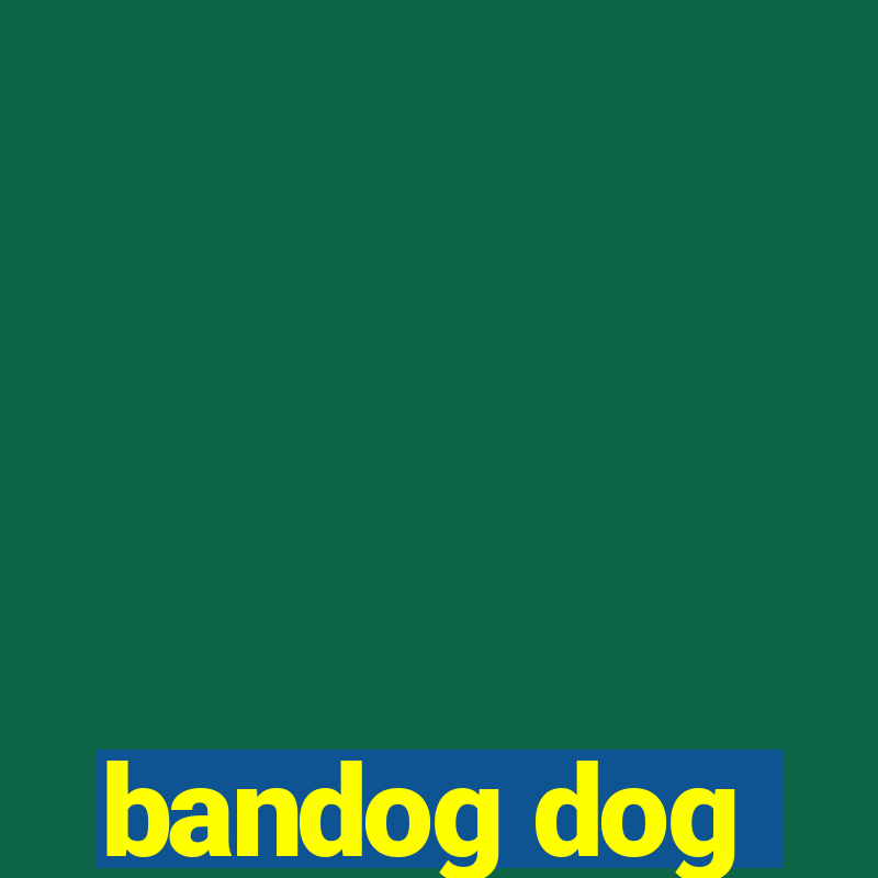 bandog dog