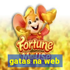 gatas na web