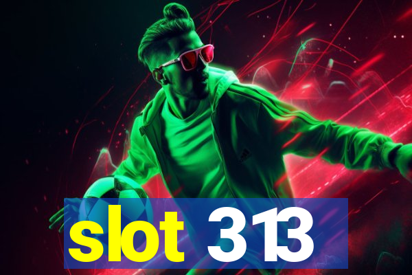 slot 313