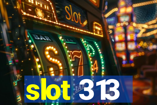 slot 313