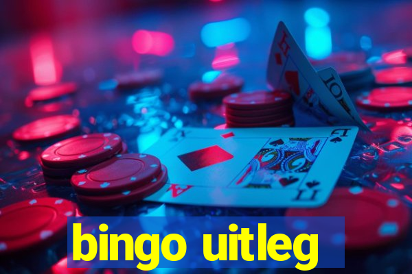 bingo uitleg