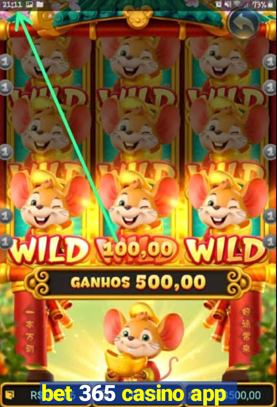 bet 365 casino app