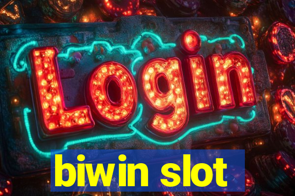 biwin slot