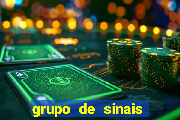 grupo de sinais fortune rabbit